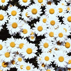 男生把困到女生困里视频
